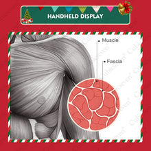 Load image into Gallery viewer, Christmas Gift Holiday Gift Cubicseven® Newest 6 Levels Adjustable 8000R/MIN Santa Claus Handheld Massage Gun, Ultra-Quiet Powerful Cordless Deep Tissue Muscle Massager,The Best Christmas Gift for Family and Friends